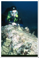 Scottie and Scorpionfish.jpg