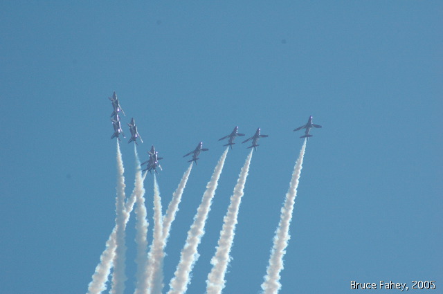 dsc_0335.jpg