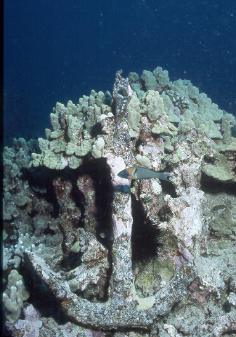encrusted anchor.jpg